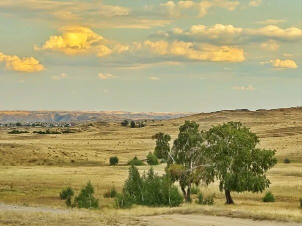 Природа оренбургской области фото В окрестностях п. Аккермановка, Новотроицкий г.о. 2023 Красота природы Оренбургс