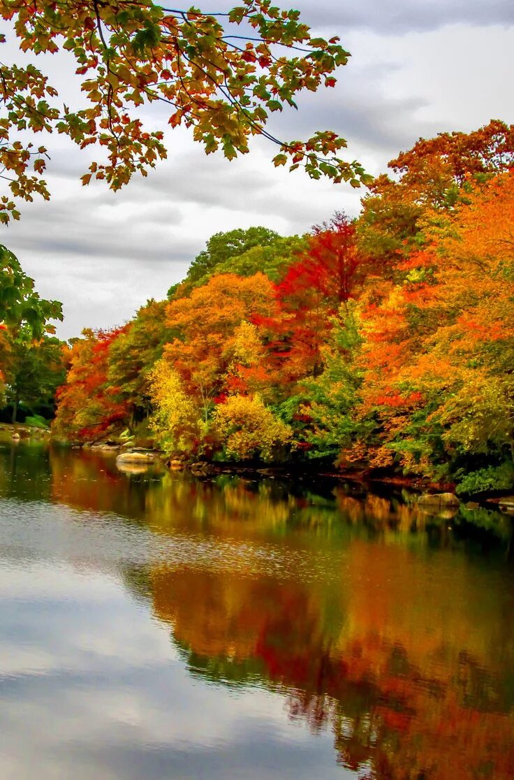 Природа осень фото самые красивые Autumn in Mystic CT Autumn landscape, Autumn trees, Autumn scenery