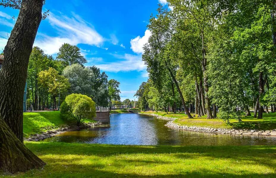 Природа питера фото Летний Сад: Райский Сад Петра Великого - цена экскурсии 5 000 ₽, отзывы, расписа