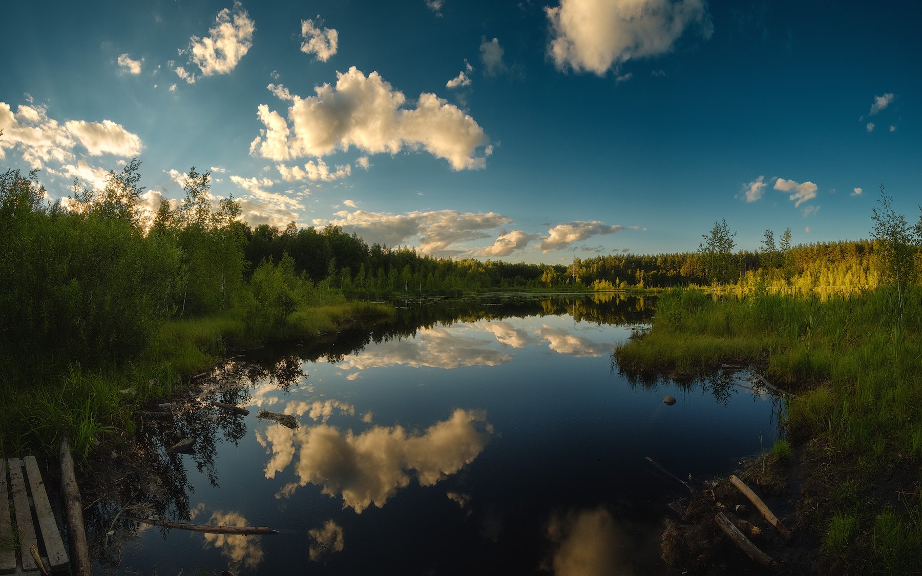 Природа подмосковья фото Щепкино болото. Фотограф Оборотов Алексей