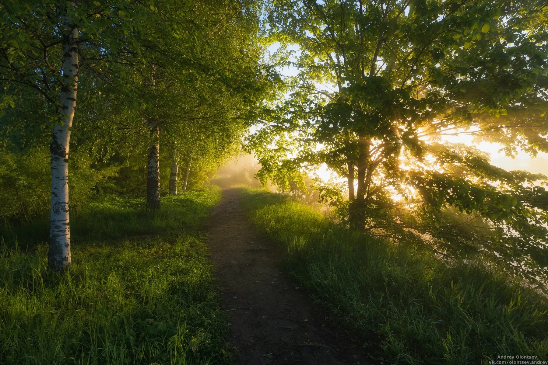 Природа подмосковья фото Вдоль реки.. Фотограф Олонцев Андрей