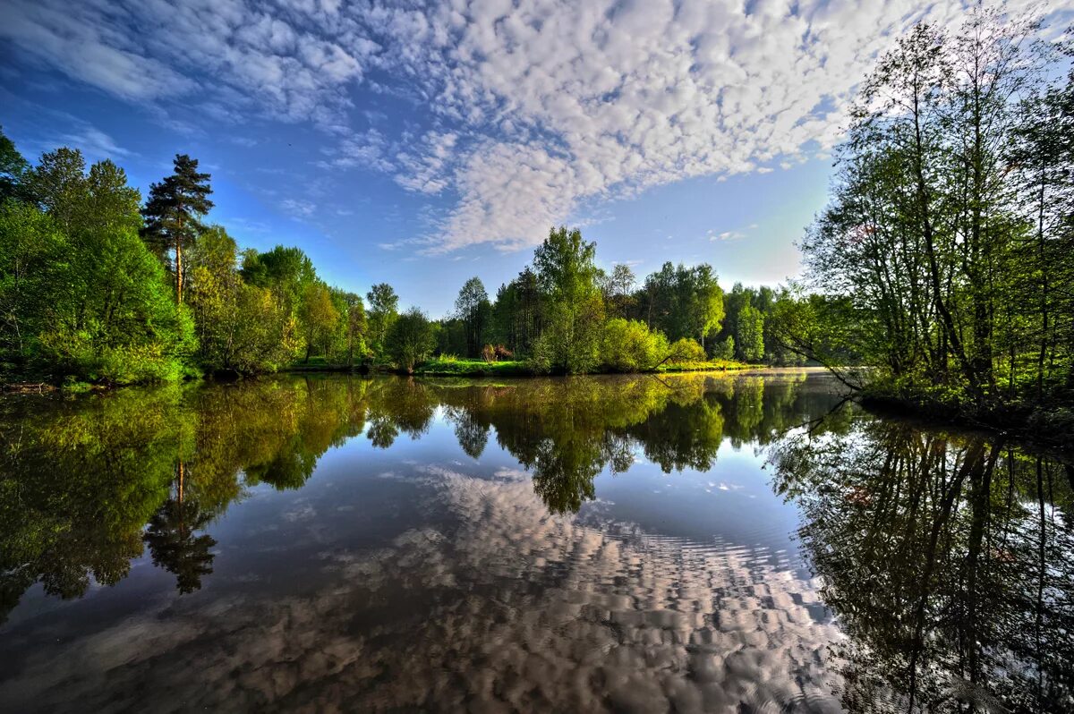 Природа подмосковья фото самые красивые Файл:Lama River, Moscow region, Russia - 1.jpg - Википедия