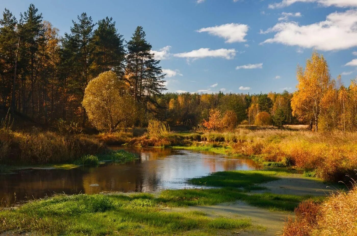 Природа подмосковья фото самые красивые Подмосковье моё" - встреча в литературном объединении "Радуга над Клязьмой" 2022