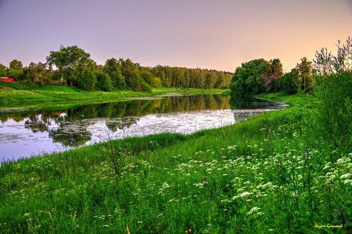 Природа подмосковья фото самые красивые Мы юные исследователи природы