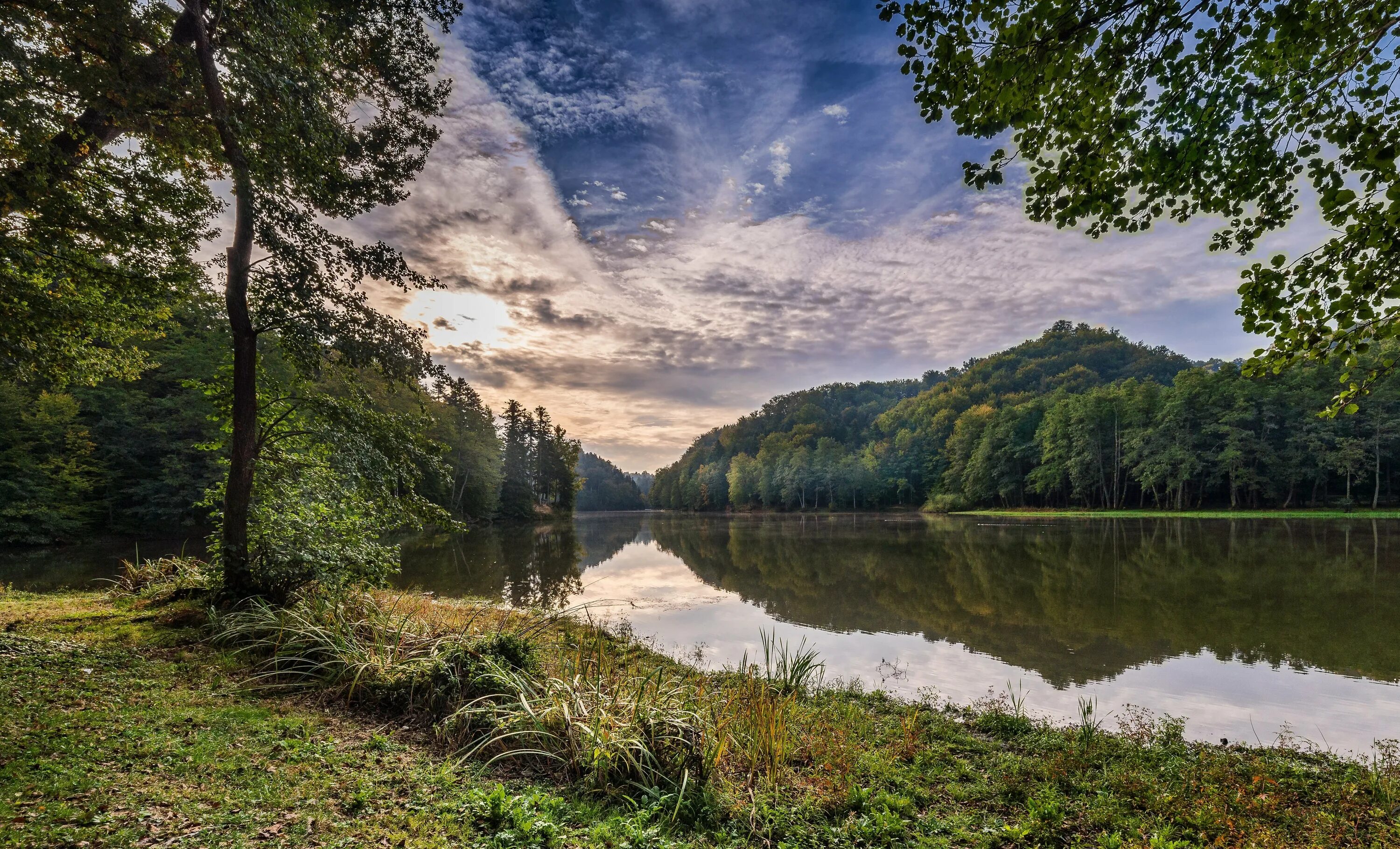 Природа река фото Green trees on the river bank under the beautiful sky Desktop wallpapers 640x960