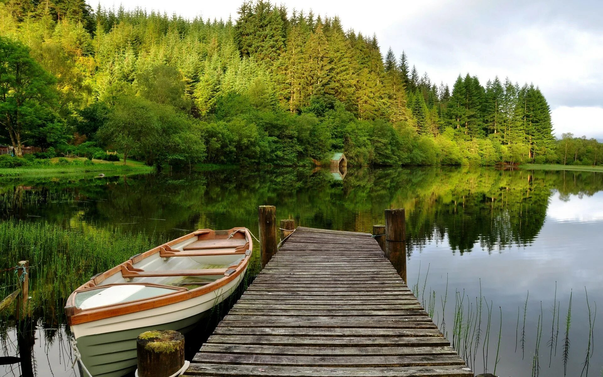 Картинки по запросу forest lake Summer wallpaper, Scenery, Mountain lake