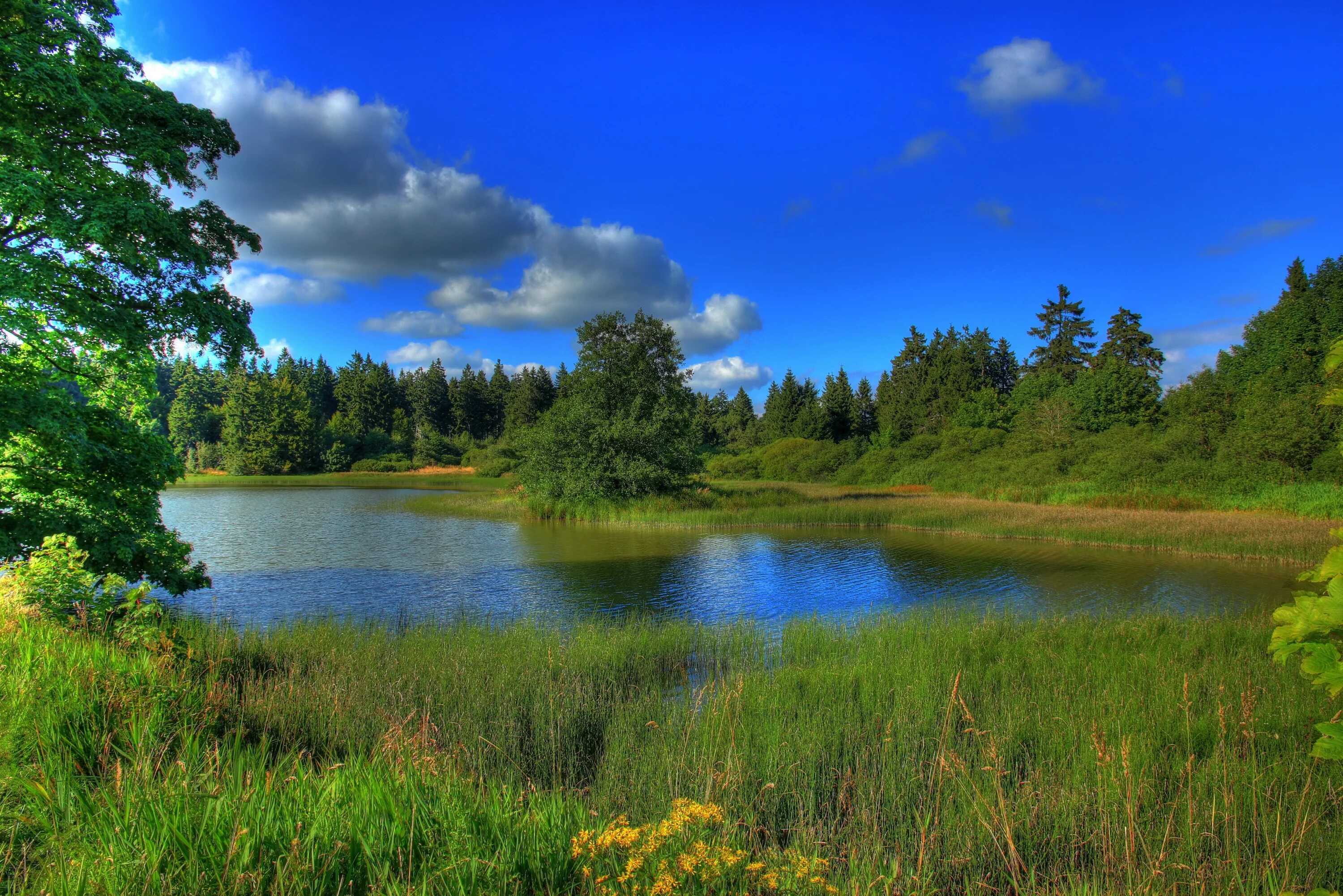 Природа река фото Wallpaper : Germany, landscape, lake, hessen, grass, nature 4256x2840 - wallpape