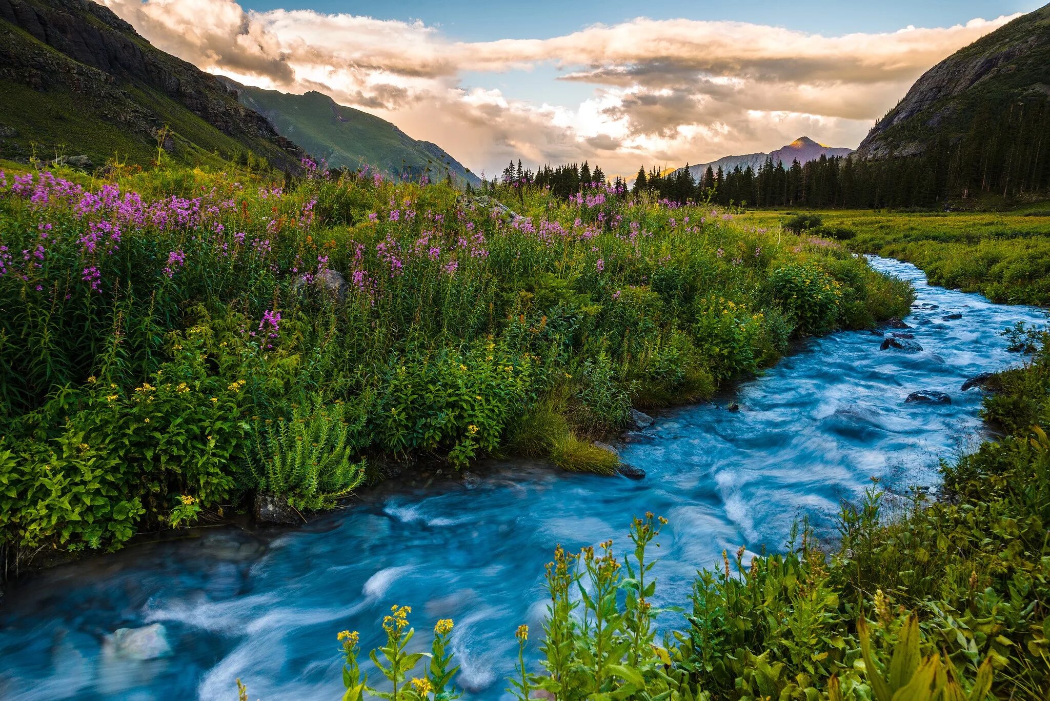 Природа река горы фото Wallpaper : trees, landscape, forest, mountains, flowers, lake, nature, reflecti