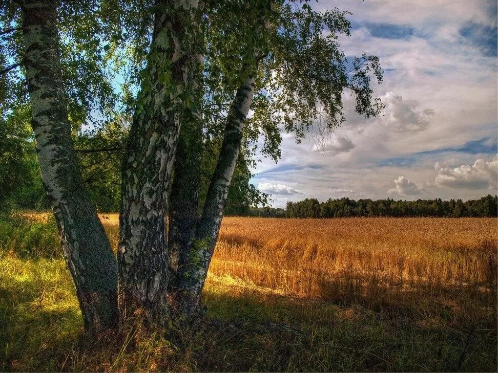 Природа родного края фото Час истории "Наш любимый край родной" 2023, Каменский район - дата и место прове