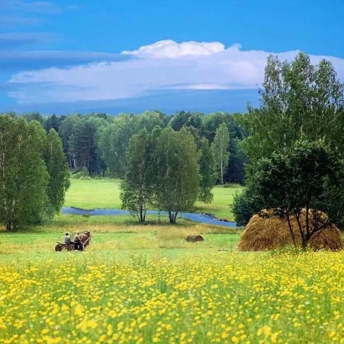 Природа россии летом фото Российские просторы... Landscape, Nature, Beautiful nature