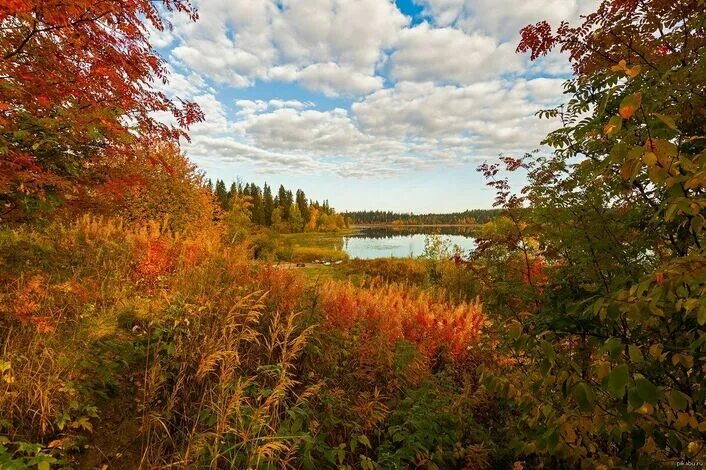 Природа россии осенью фото Наш родной край