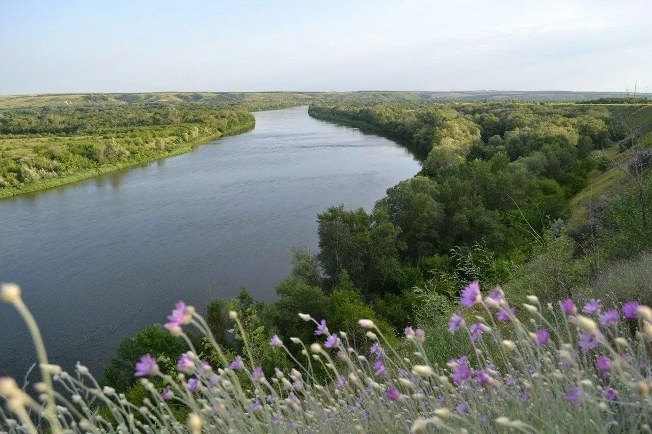 Природа ростовской области фото Викторина "Знай и люби свой край родной" 2024, Волгодонской район - дата и место