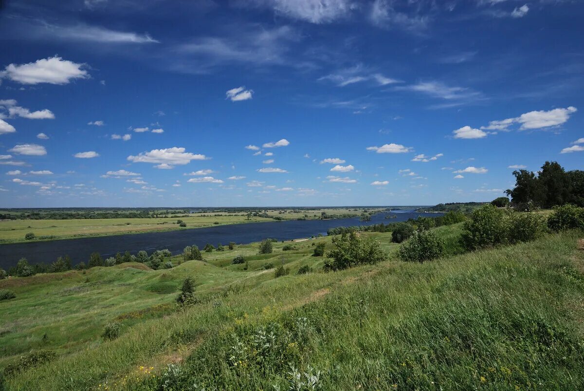 Природа рязани фото Край рязанский картинки