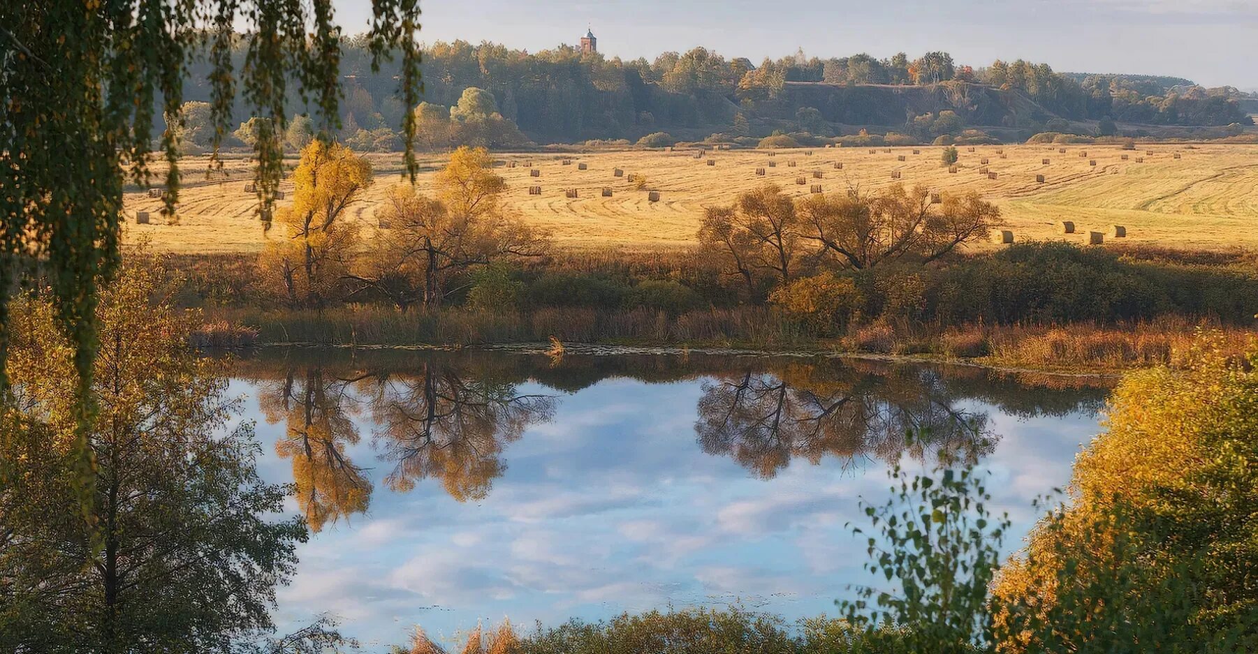 Природа рязанской области фото Регион 62. 10 фактов про Рязанскую область