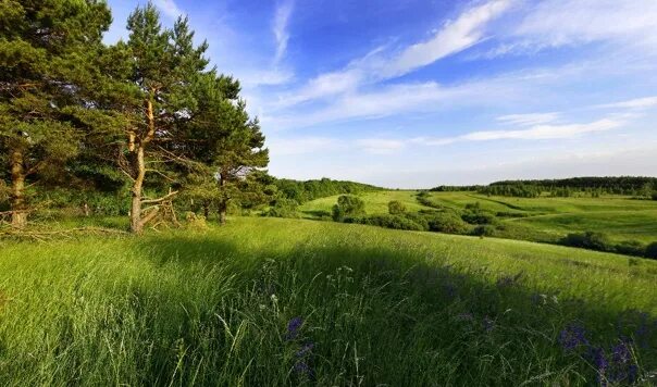 Природа рязанской области фото фото: Алексея Кузнецова д. Фотография из альбома Фото - 49 из 80 ВКонтакте