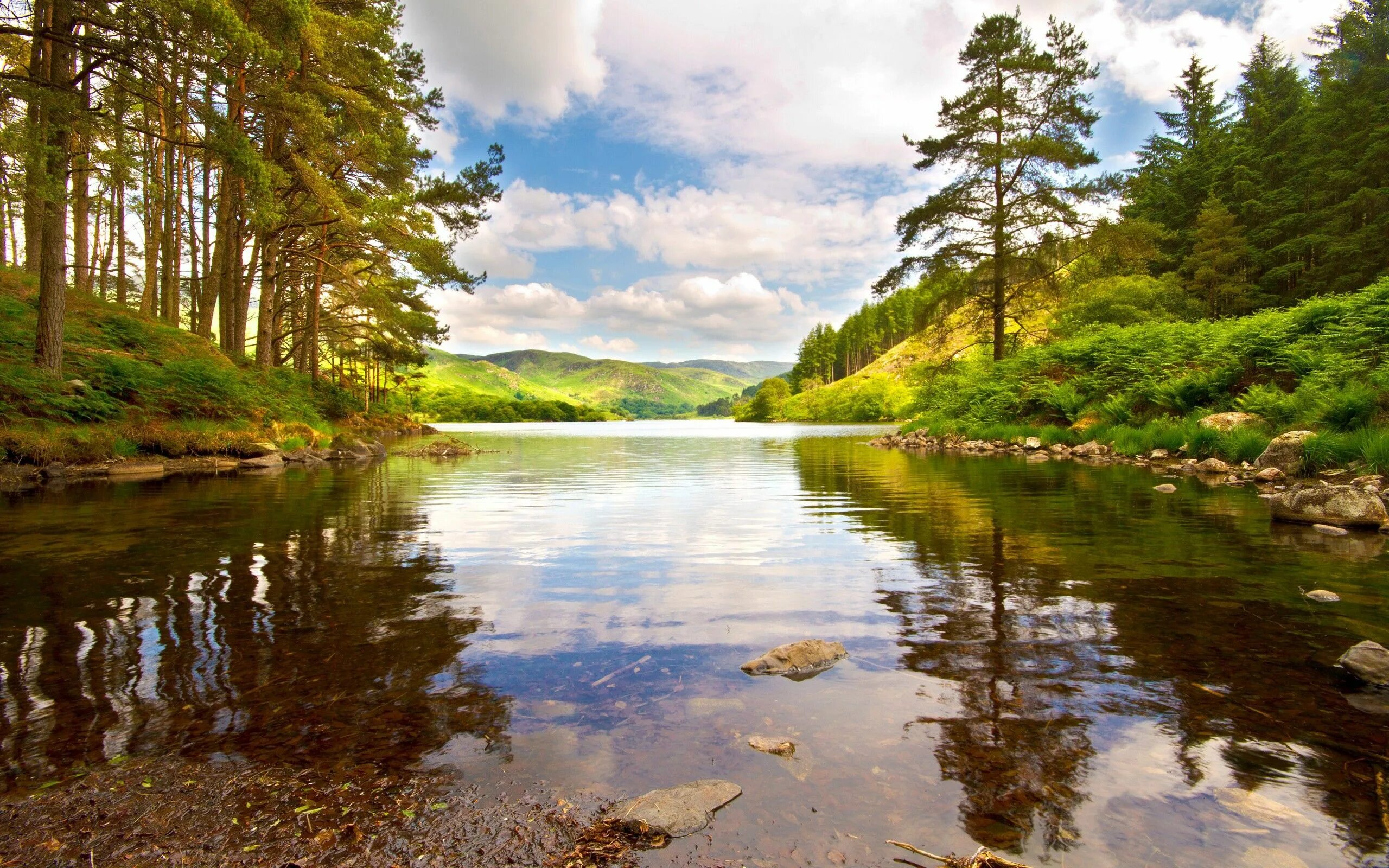 Природа с рекой фото красивые Картинки по запросу forest lake Summer wallpaper, Scenery, Mountain lake