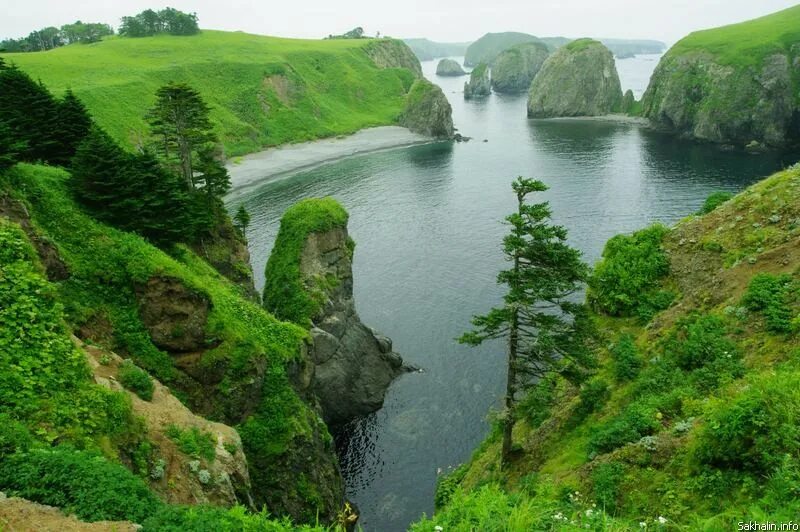 Природа сахалина фото самые "Острова на краю земли" Сергея Асауленко. Новости Южно-Сахалинска. Города Сахали