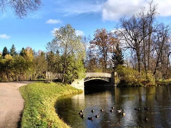 Санкт-Петербург, осень Осенний пейзаж, Соборы, Старый город