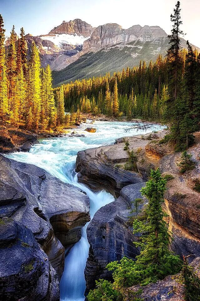 Природа сегодня фото Mistaya Canyon,Banff National Park,Alberta ,Canada. Beautiful landscapes, Nature