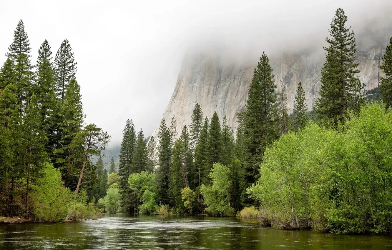 Природа сегодня фото Обои California, Spring Flood, United States, Yosemite Village на телефон и рабо