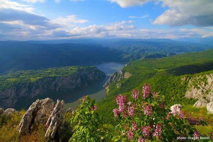 Природа сербии фото Djerdap Gorge National Park Serbia