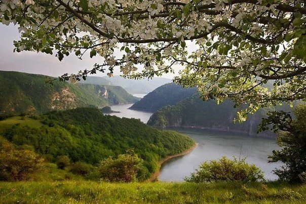 Природа сербии фото Serbia - Uvac Serbia, Outdoor, Water