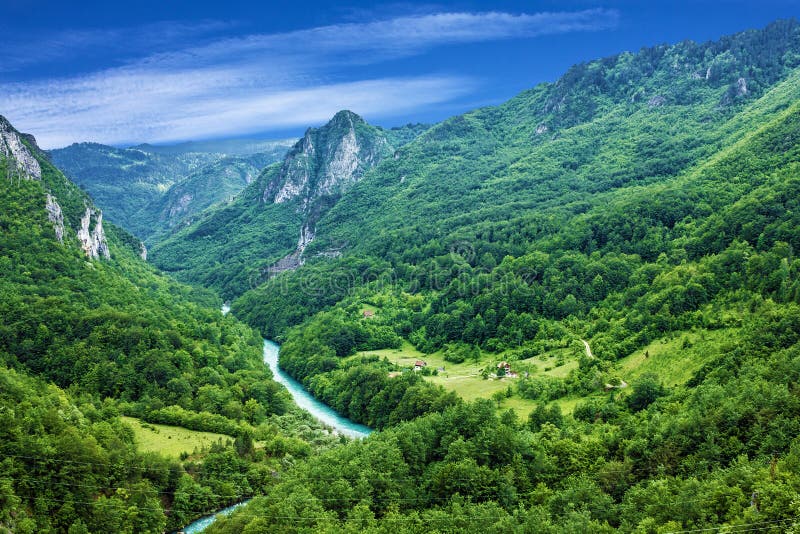 Природа сербии фото Mountain River Tara and Forest in Montenegro Stock Photo - Image of croatia, eco