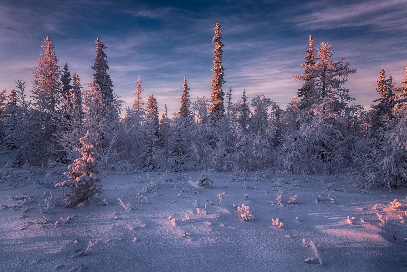 Природа севера фото Дыхание Севера. Фотограф Евгений Кужилев