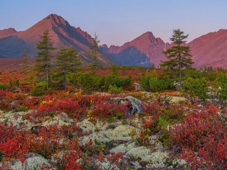 Природа севера фото Kolyma Photographer Vladimir Ryabkov Пейзажи, Живописные пейзажи, Красивые места