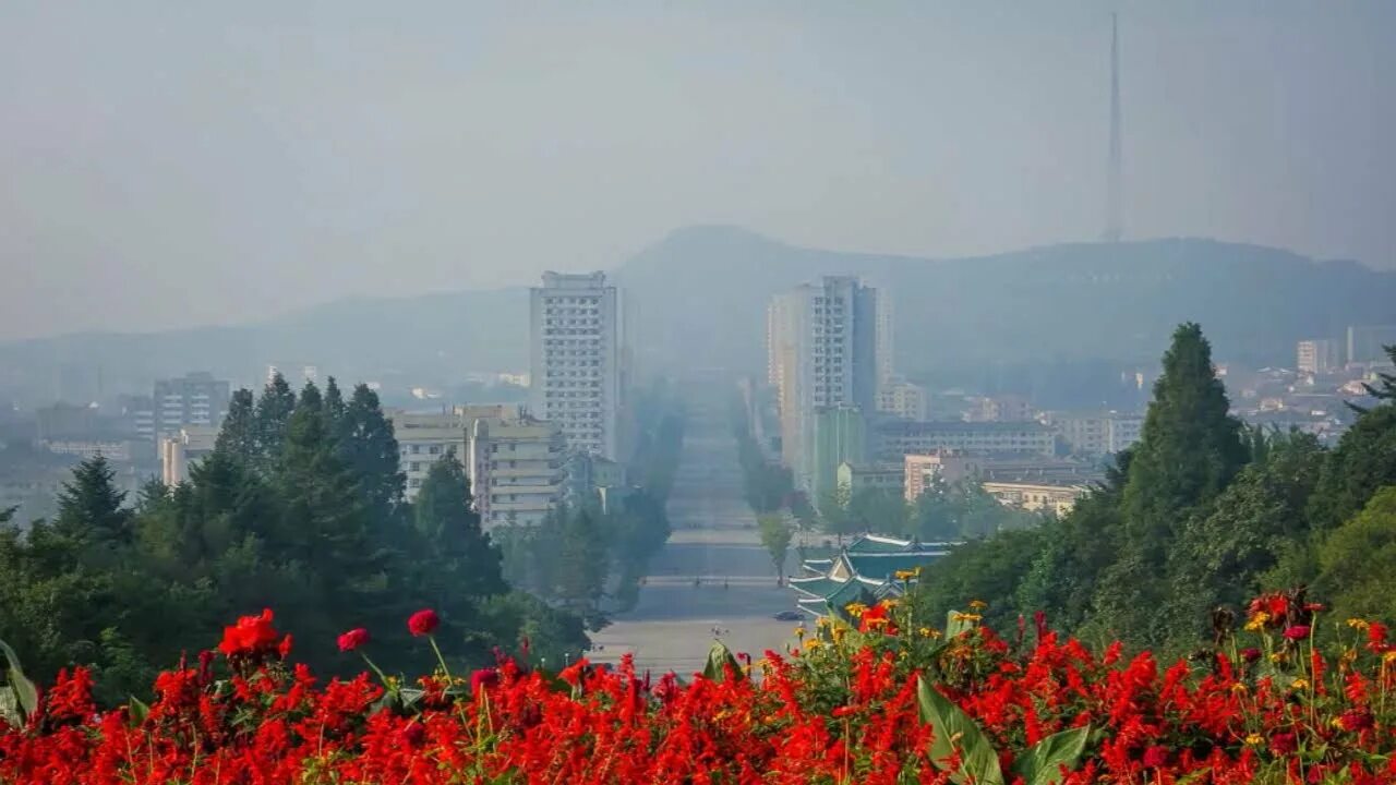 Природа северной кореи фото Cosmos Is in Full Bloom on Cholsan Peak / 철산봉에 코스모스 만발합니다 - Pochonbo Electronic 