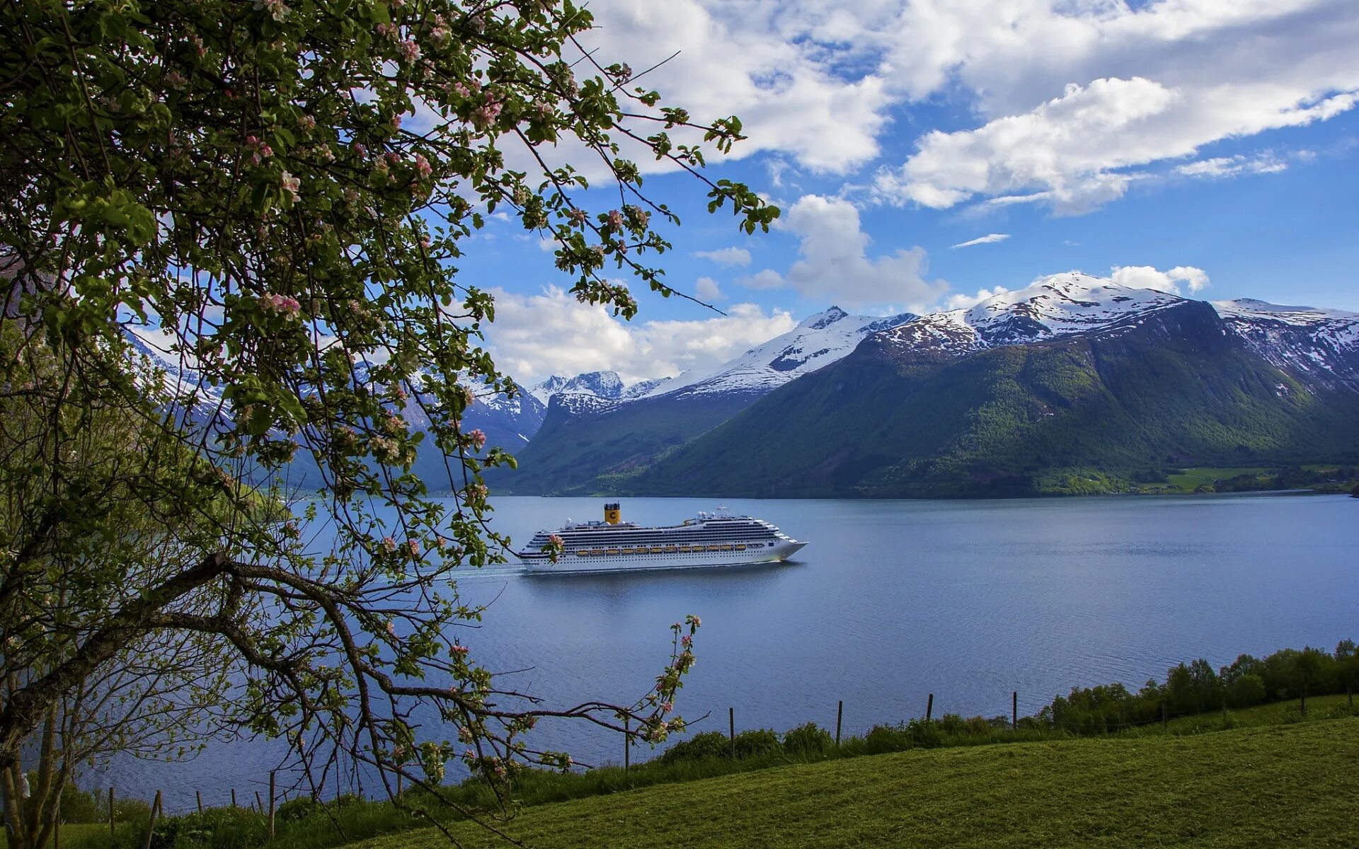 Природа швеции фото Download wallpaper mountains, tree, Sweden, liner, Sweden, the fjord, Costa Fort