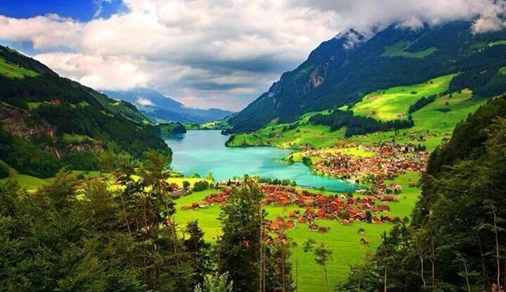 Природа швейцарии фото Switzerland Amazing places on earth, Beautiful places in the world, Travel