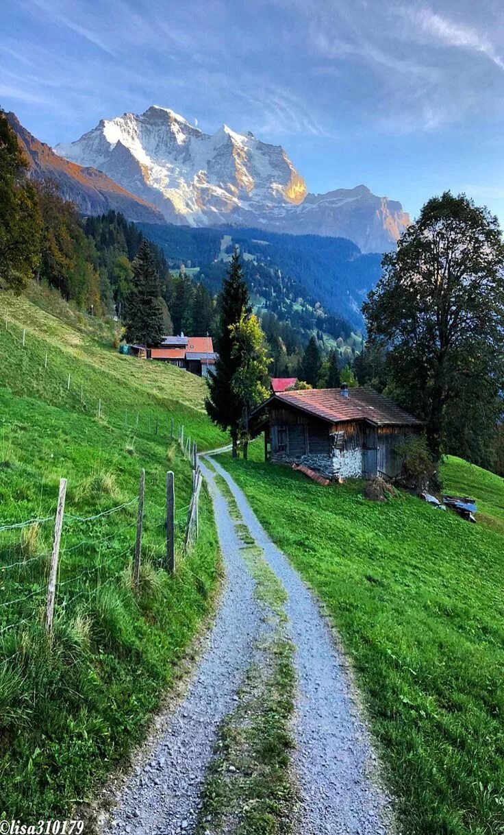 Природа швейцарии фото Beautiful Places to Visit in Switzerland