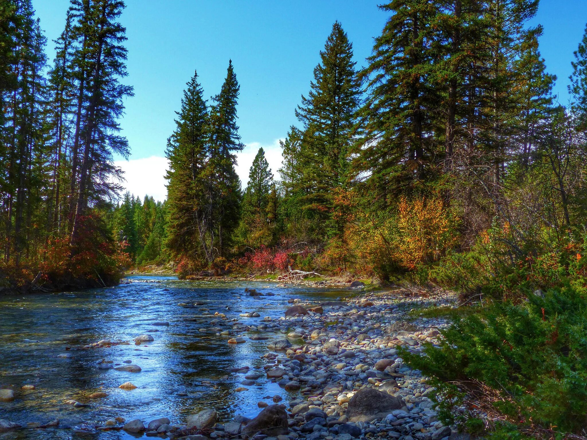 Природа сибири фото вертикально Download wallpaper autumn, forest, the sky, trees, river, stones, spruce, sectio