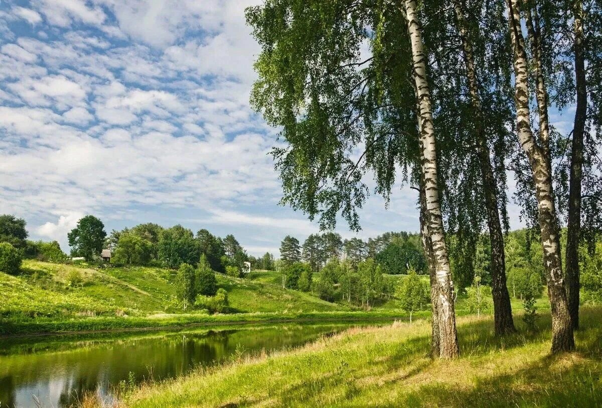 Природа средней полосы россии фото Русь, Россия, Родина моя" 2021, Курск - дата и место проведения, программа мероп