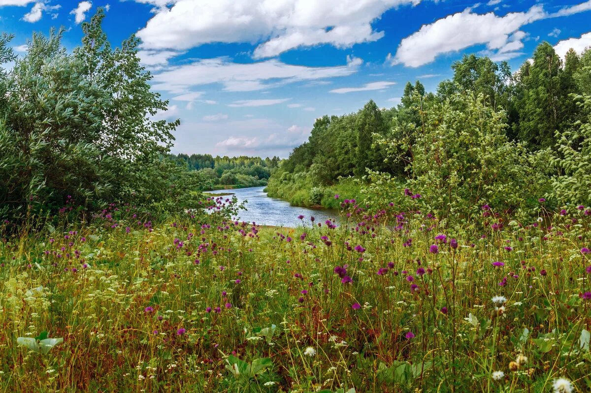 Природа средней полосы россии фото Кокшеньга :: Александр Силинский - Социальная сеть ФотоКто