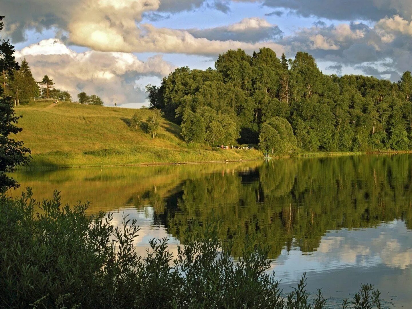 Природа средней полосы россии фото Час экологии "Зеленые сказки" 2023, Белебеевский район - дата и место проведения