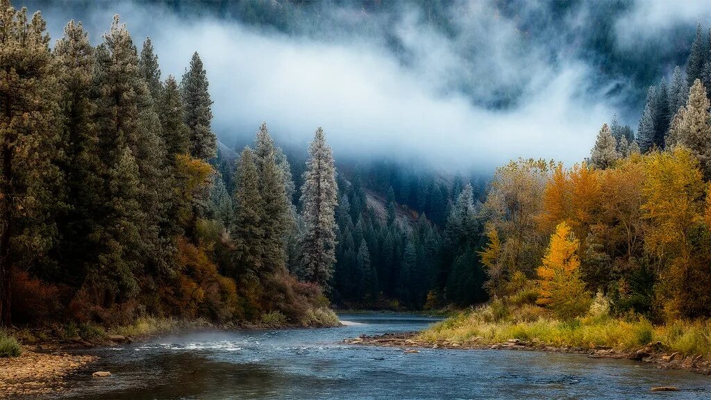 Природа старый фото Garden Valley Fall Brisk morning today on the South Fork o. Flickr