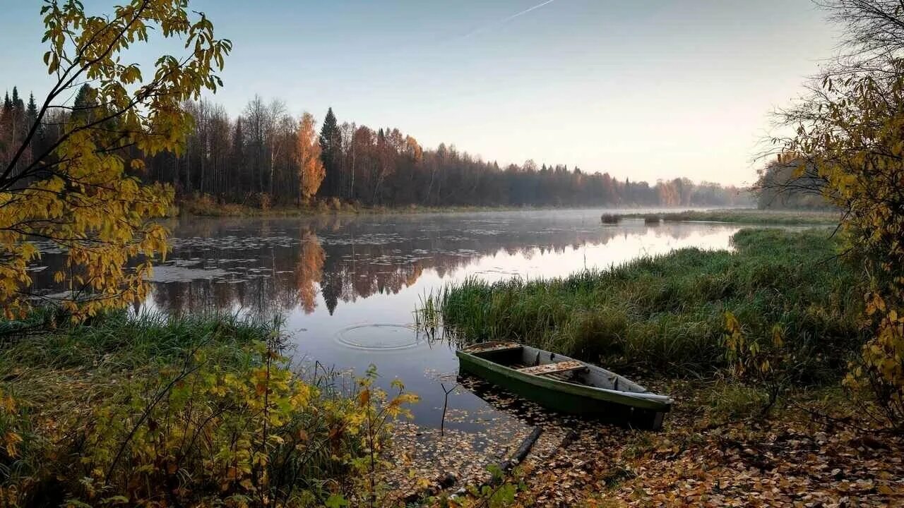 Природа старый фото Les rossii - купить по низкой цене на Яндекс Маркете