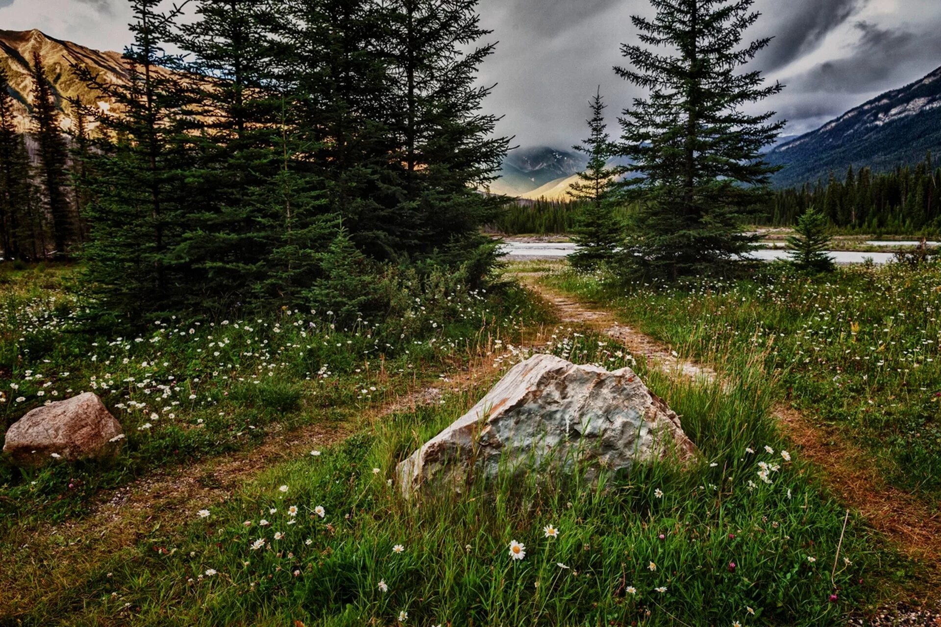 Природа старый фото Wallpaper : landscape, forest, lake, rock, nature, grass, pine trees, wilderness