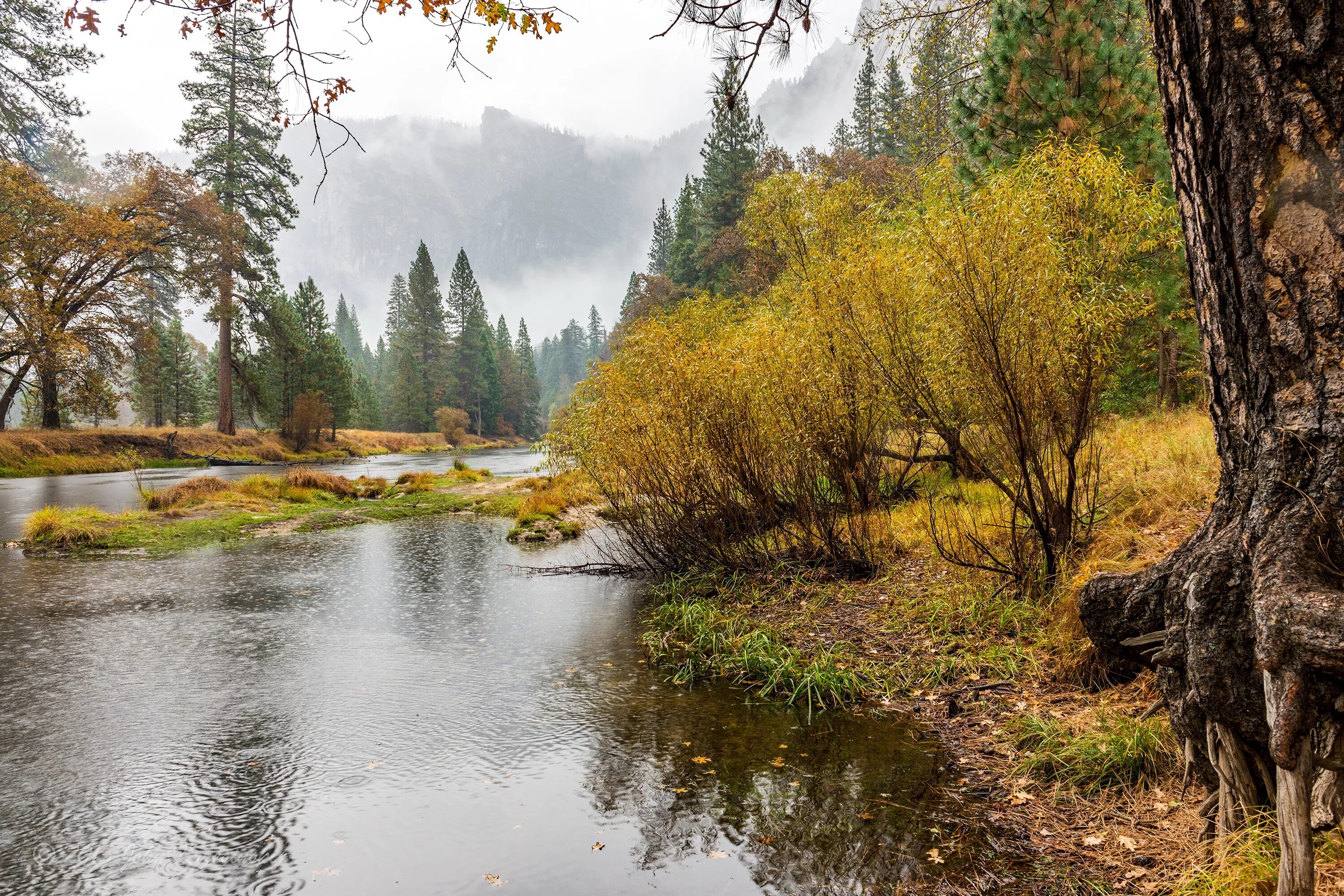 Природа старый фото Download wallpaper autumn, forest, trees, mountains, fog, river, rocks, morning,