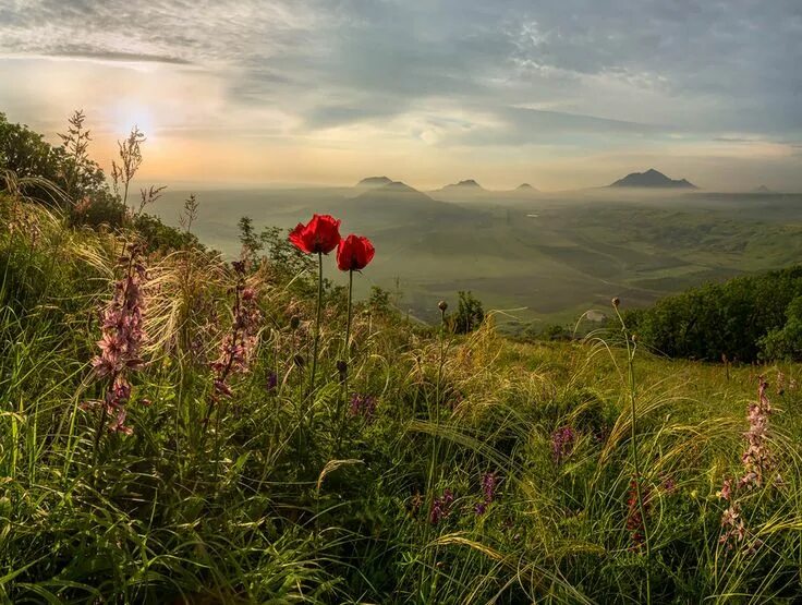 Природа ставропольского края фото Клуб Foto.ru работаем с 1998 года Flowers photography, Nature, Natural landmarks