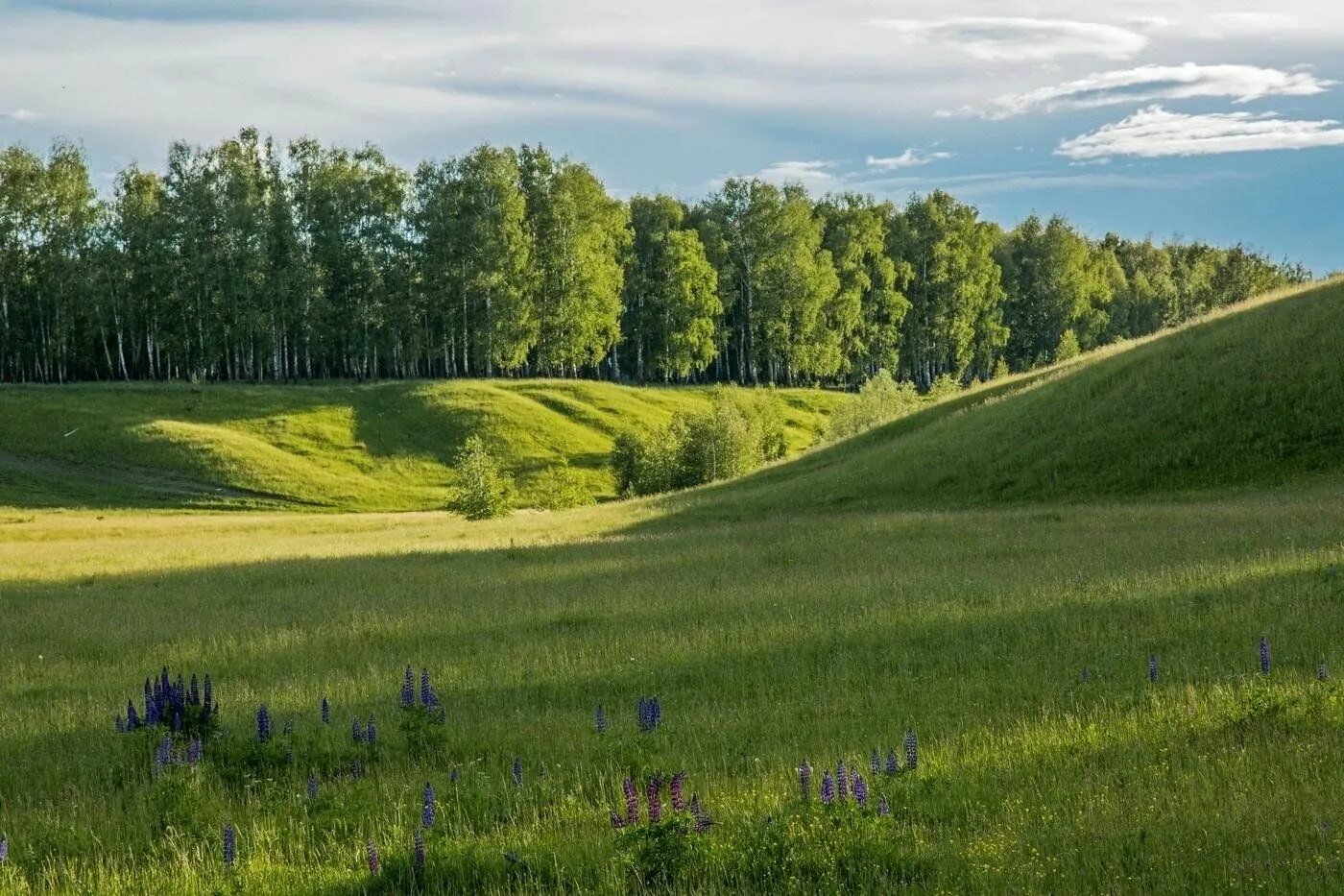 Природа татарстана фото Зеленодольск весной" Фото выставка пейзажей окрестностей города. 2023, Зеленодол