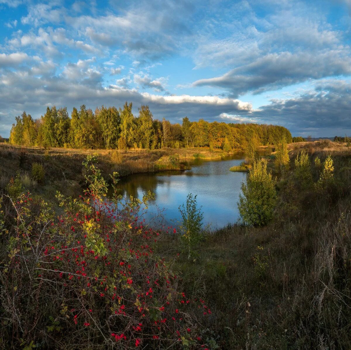 Природа тульской области фото Пейзаж с шиповником.. Photographer Lashkov Fedor