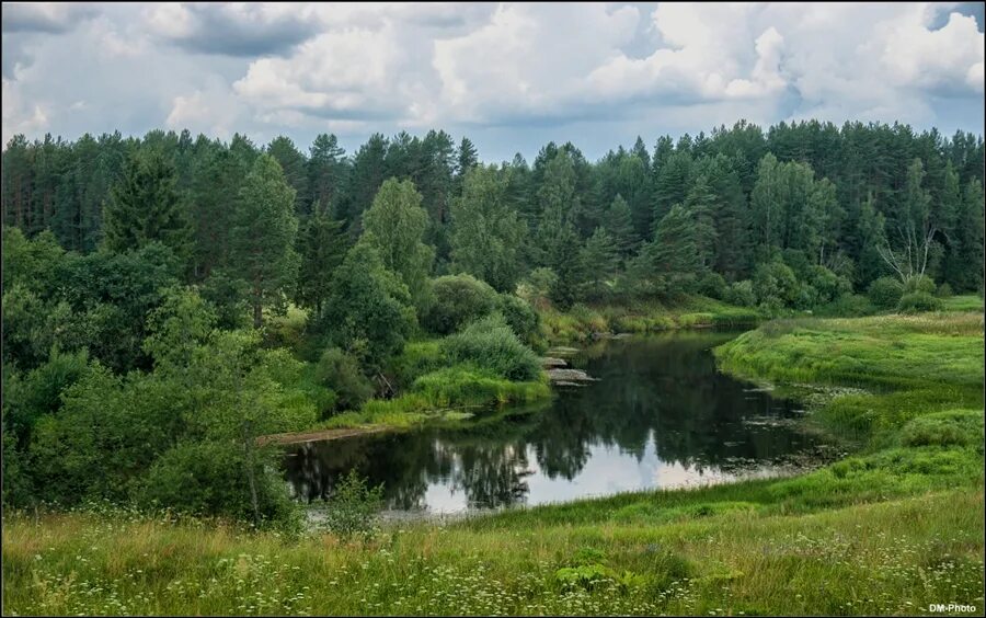 Природа тверской области фото Фото жизнь - DM-Photo - Дача (Андреаполь, Тверская губерния) - В воздухе пахнет 