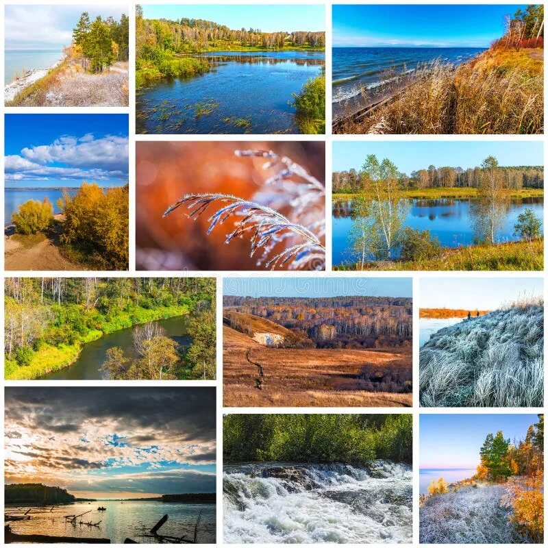 Природа тюмени фото коллажа Collage of Nature Photos of the Autumn Season Stock Photo - Image of siberia, we