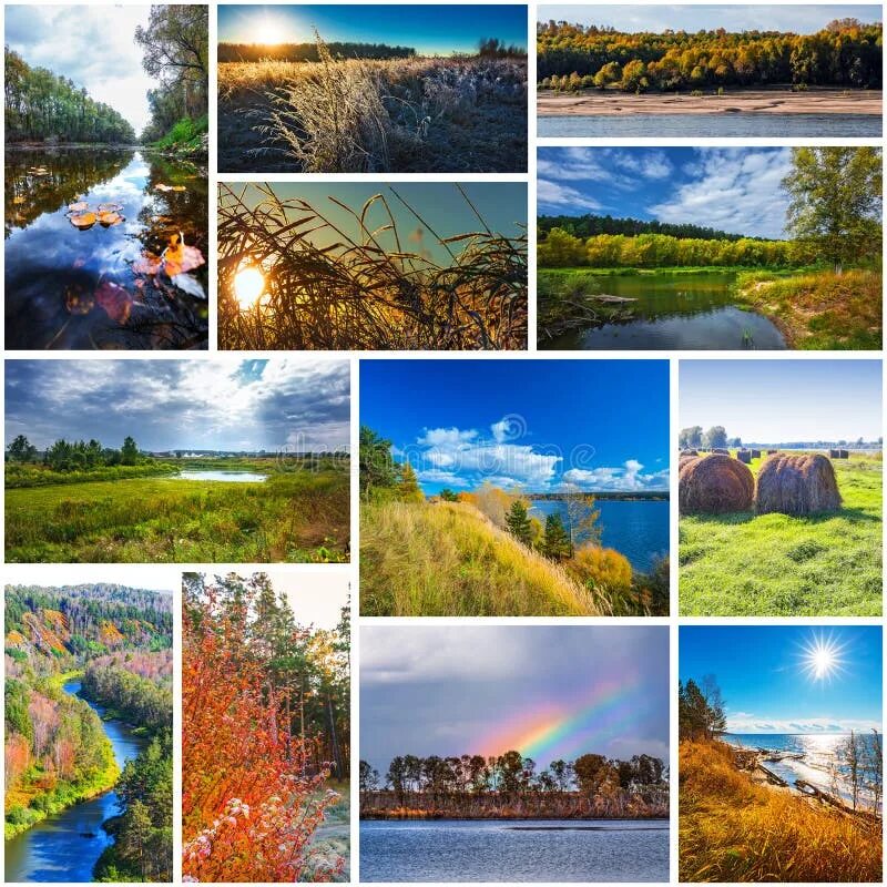 Природа тюмени фото коллажа Collage stock photo. Image of nature, russia, forest - 146347734