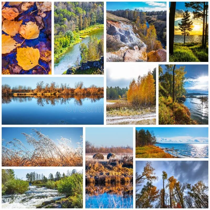 Природа тюмени фото коллажа Collage of Nature Photos of the Autumn Season Stock Image - Image of plants, nov