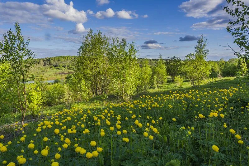 Природа удмуртии фото Жарки кузбасса на фото Д. Царапкина (Светлана Ламбина Лана Веточка) / Стихи.ру