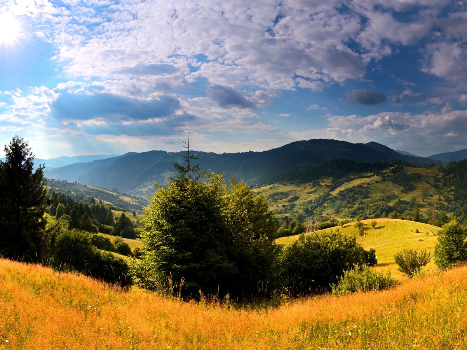 Природа украины фото Download wallpaper the sky, grass, the sun, clouds, trees, mountains, field, bea